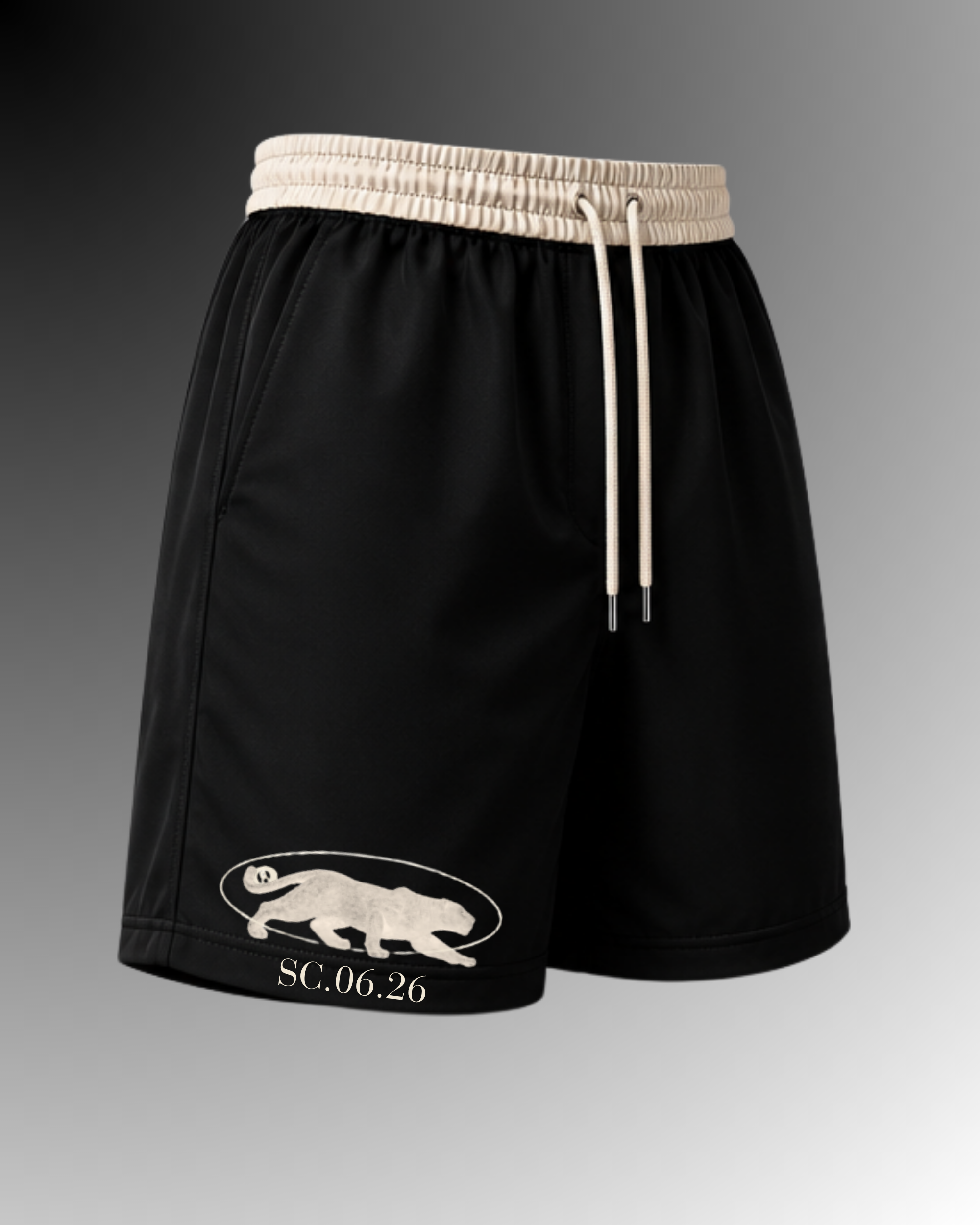 Shorts de plage
